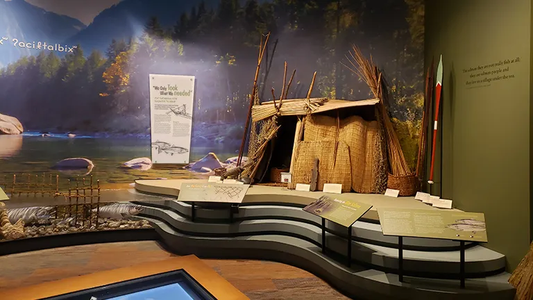Museum exhibits and interpretive displays at the Tulalip Hibulb Cultural Center in Washington share the living history of the Snohomish people through artifacts, storytelling, and educational installations.